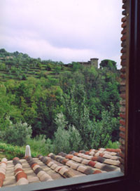 Fensterblick auf Olivenhain