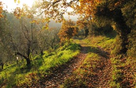 Herbst in der Toscana